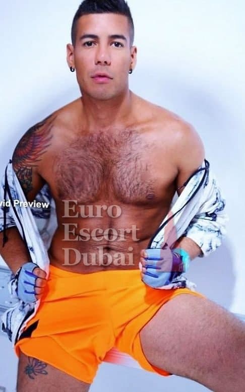 Gabriel, 38, escort in Dubai — brown hair, 183 cm (photo 9 of 13)