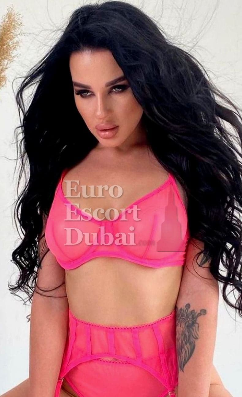 Larisa, 28, escort in Dubai — brown hair, Russian (photo 1 of 10)