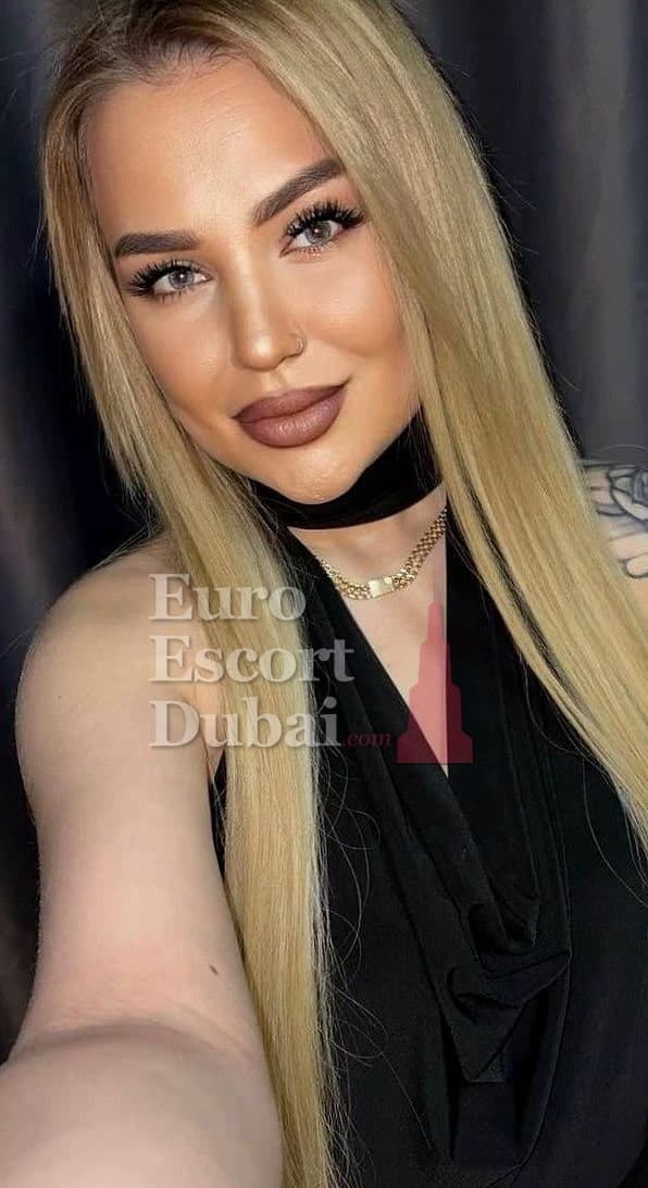 Lenka, 27, escort in Dubai — 165 cm, brown hair (photo 3 of 13)