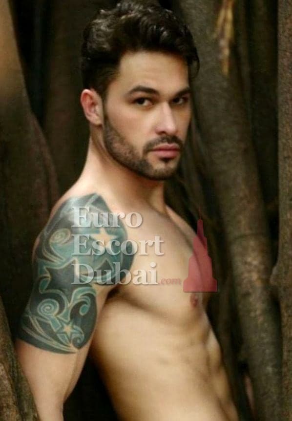 Lucas, 29, escort in Umm Al Quwain — brown hair, 175 cm (photo 3 of 13)