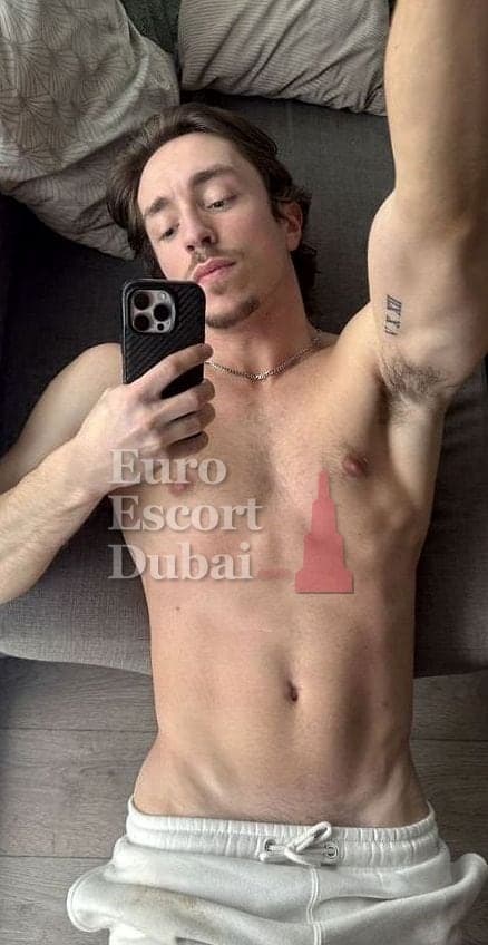 James, 24, escort in Dubai — 175 cm, brown hair (photo 12 of 13)