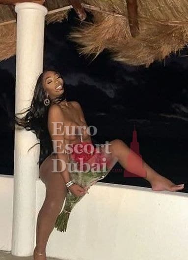 Poliana, 23, escort in Dubai — brown hair, Brazilian (photo 13 of 13)