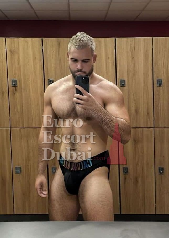 Ryan, 24, escort in Dubai — 195 cm, brown hair (photo 10 of 13)