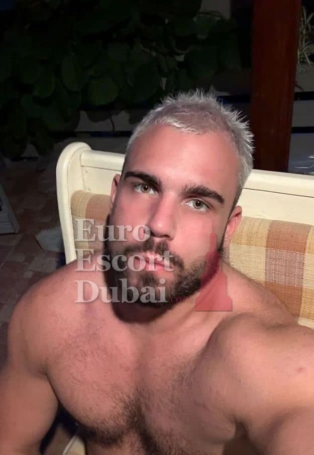 Ryan, 24, escort in Dubai — 195 cm, brown hair (photo 6 of 13)
