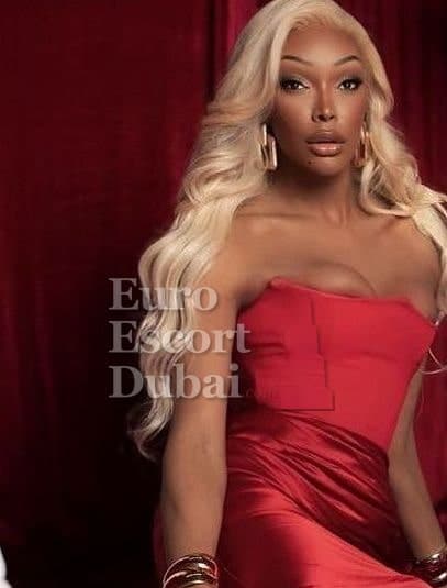 Tatiane, 25, escort in Dubai — 176 cm, black hair (photo 6 of 13)