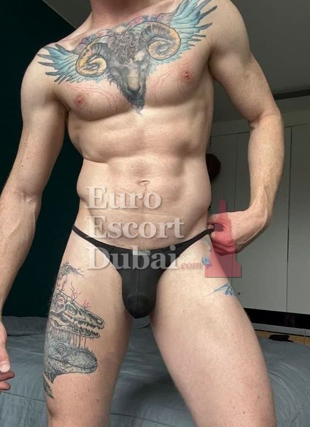 Gavin, 37, escort in Dubai — 180 cm, blonde hair (photo 12 of 13)