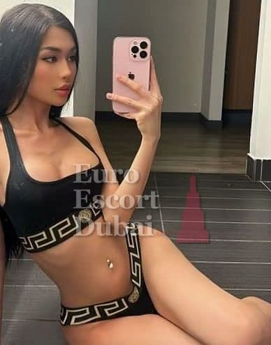 Huong, 24, escort in Dubai — black hair, Vietnamese (photo 1 of 13)