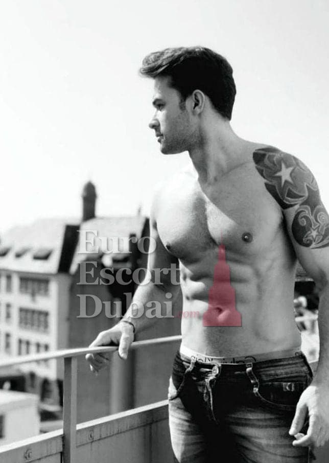 Lucas, 29, escort in Umm Al Quwain — 175 cm, brown hair (photo 2 of 13)