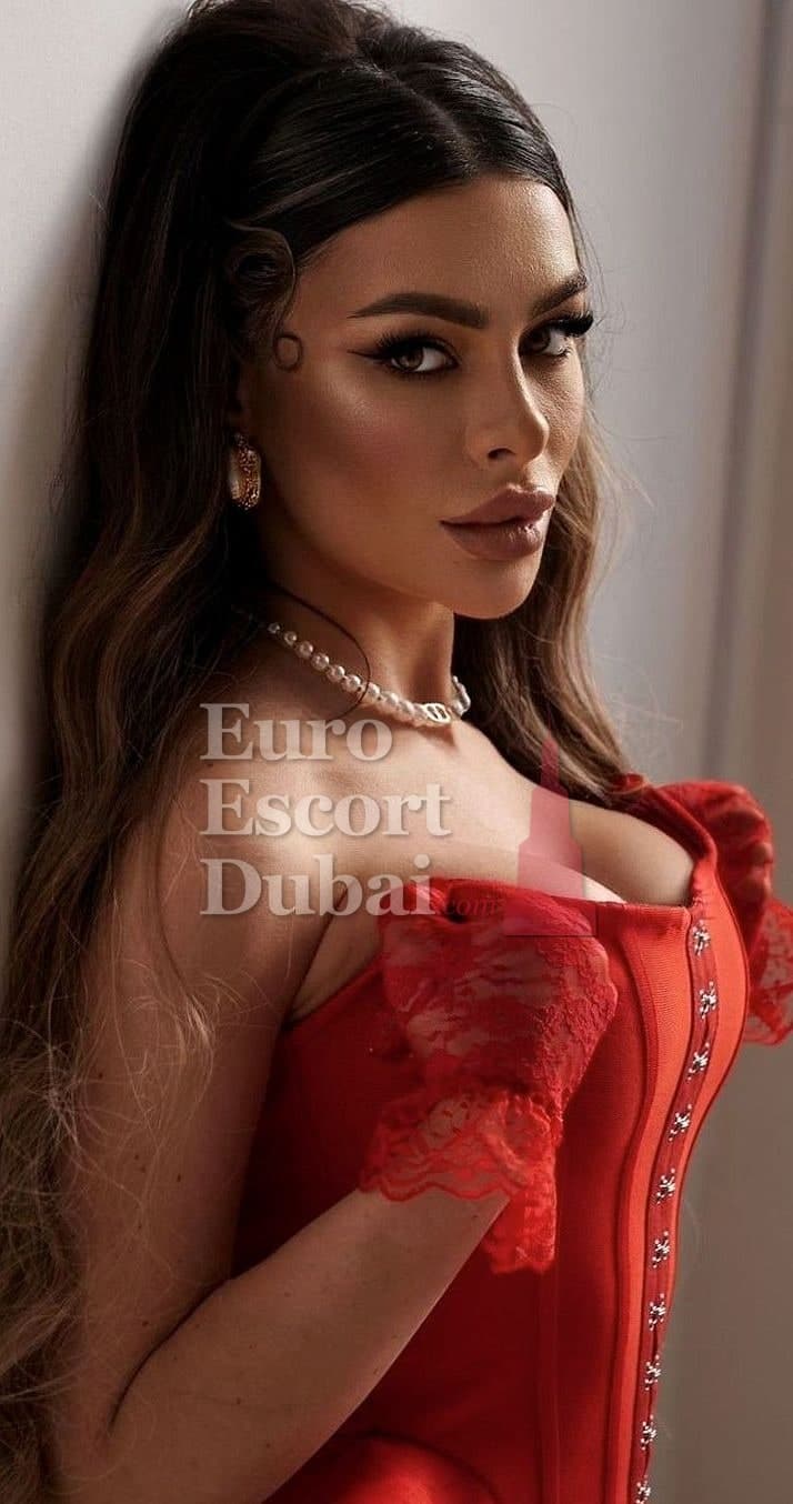 Ulyana, 26, escort in Dubai — brown hair, Belarusian (photo 7 of 13)