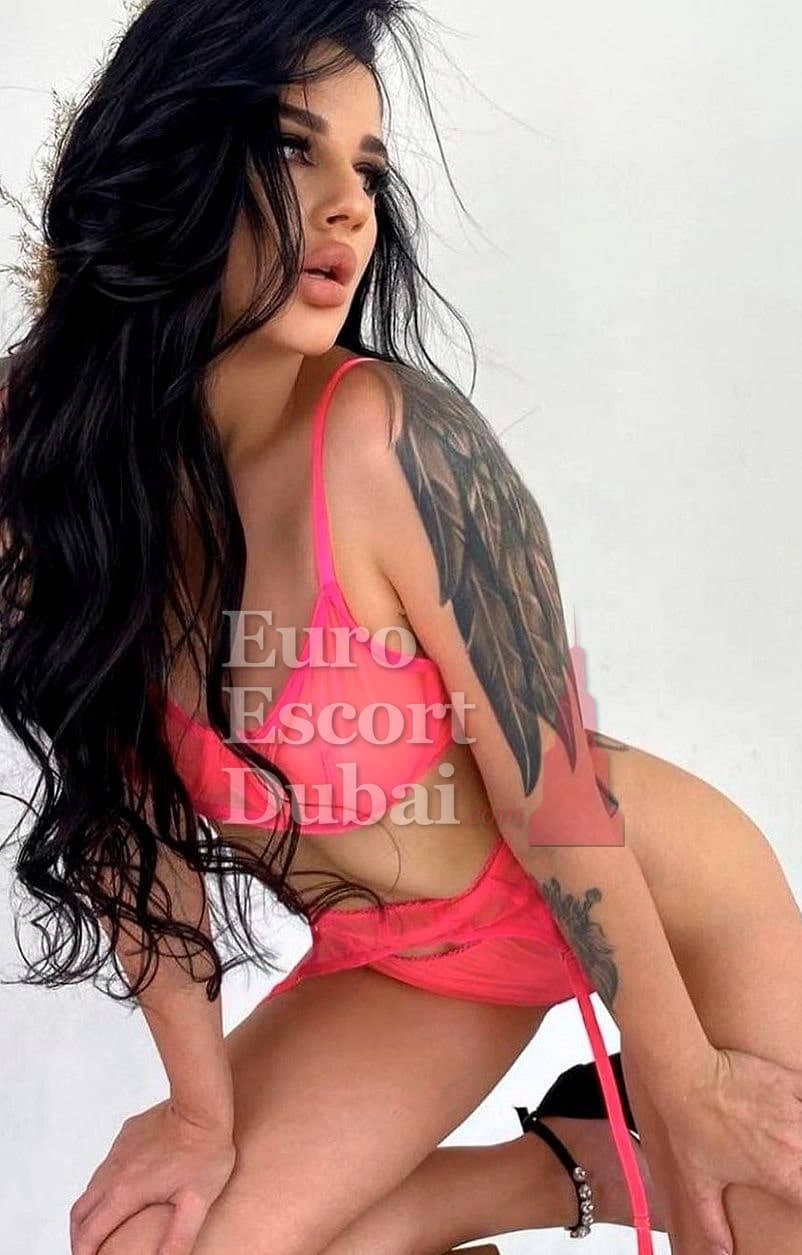 Larisa, 28, escort in Dubai — brown hair, Russian (photo 4 of 10)