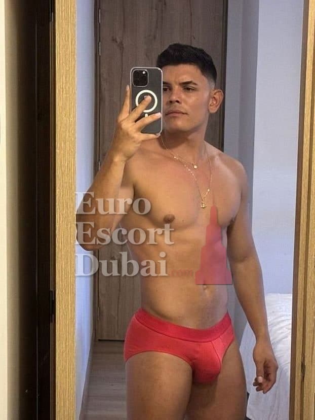 Diego, 26, escort in Sharjah — brown hair, 173 cm (photo 3 of 13)